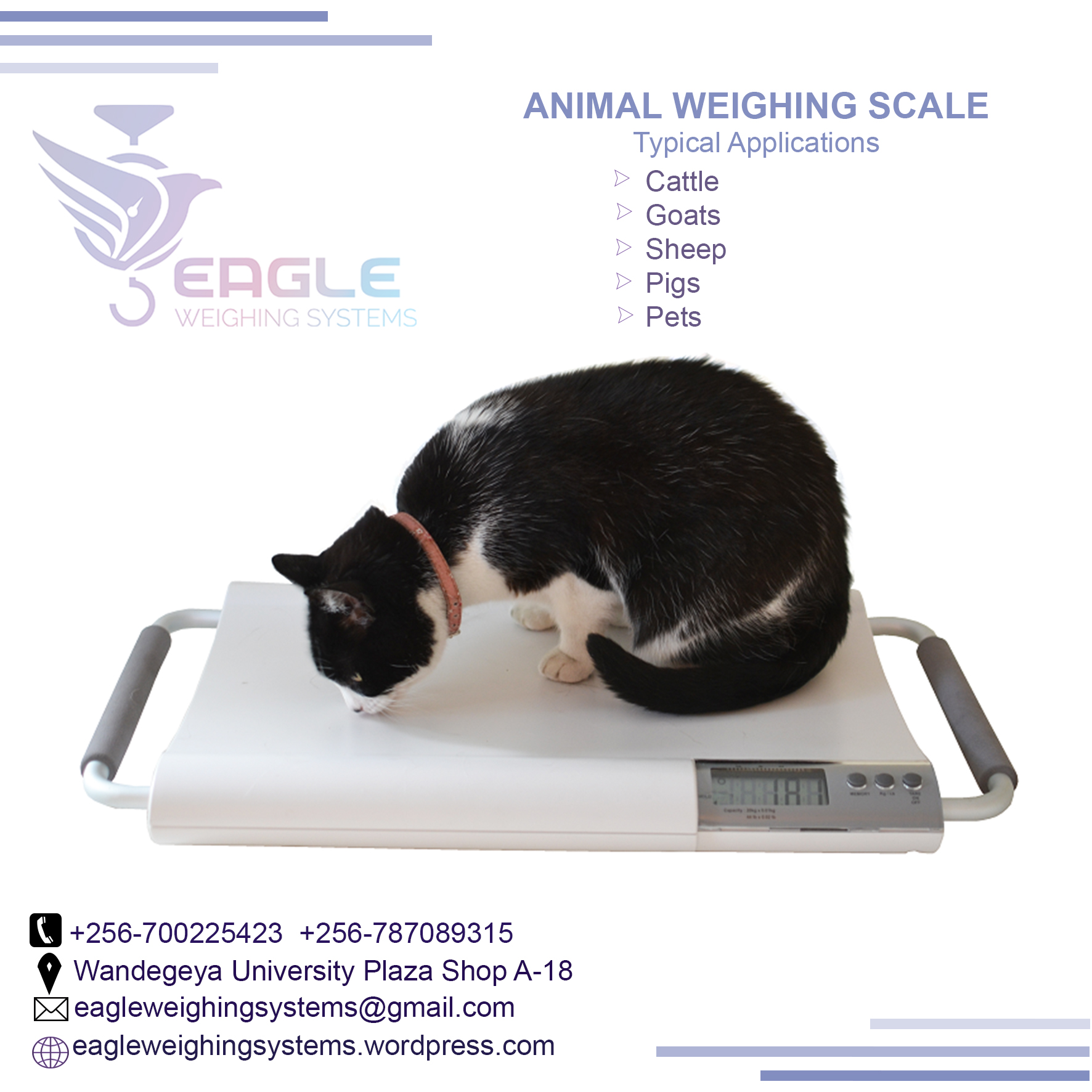 Animal Electronic floor weighing scale'