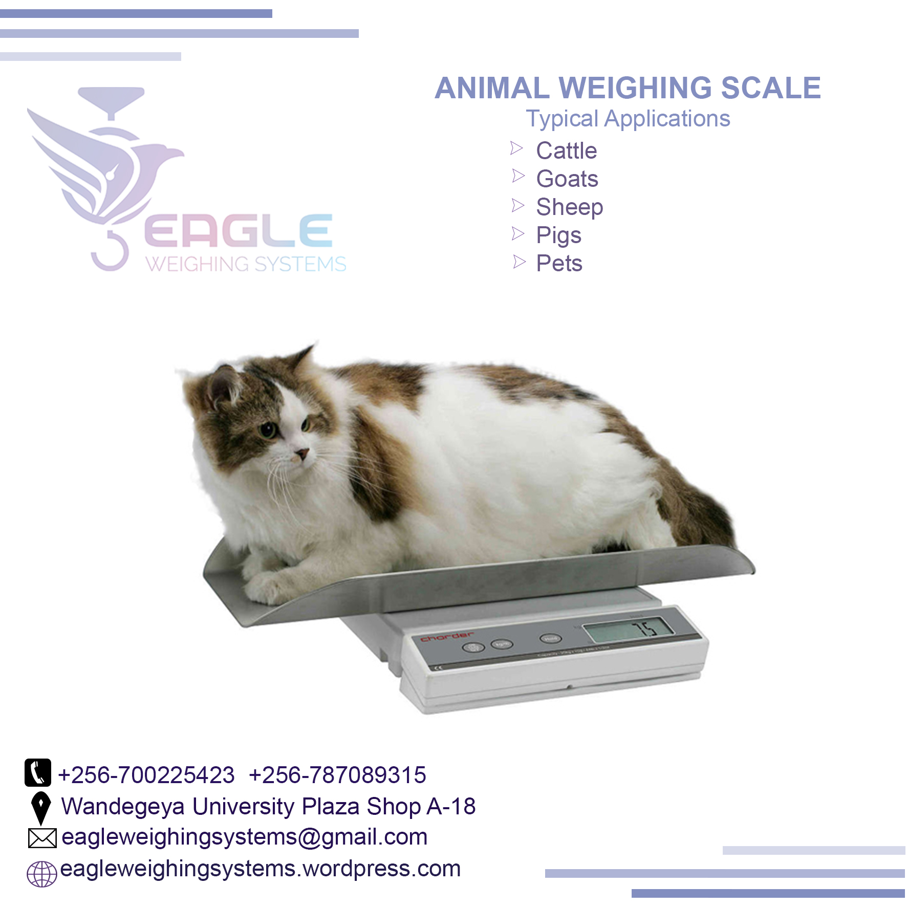 Stainless steel top platform animal weighing scale with rai'