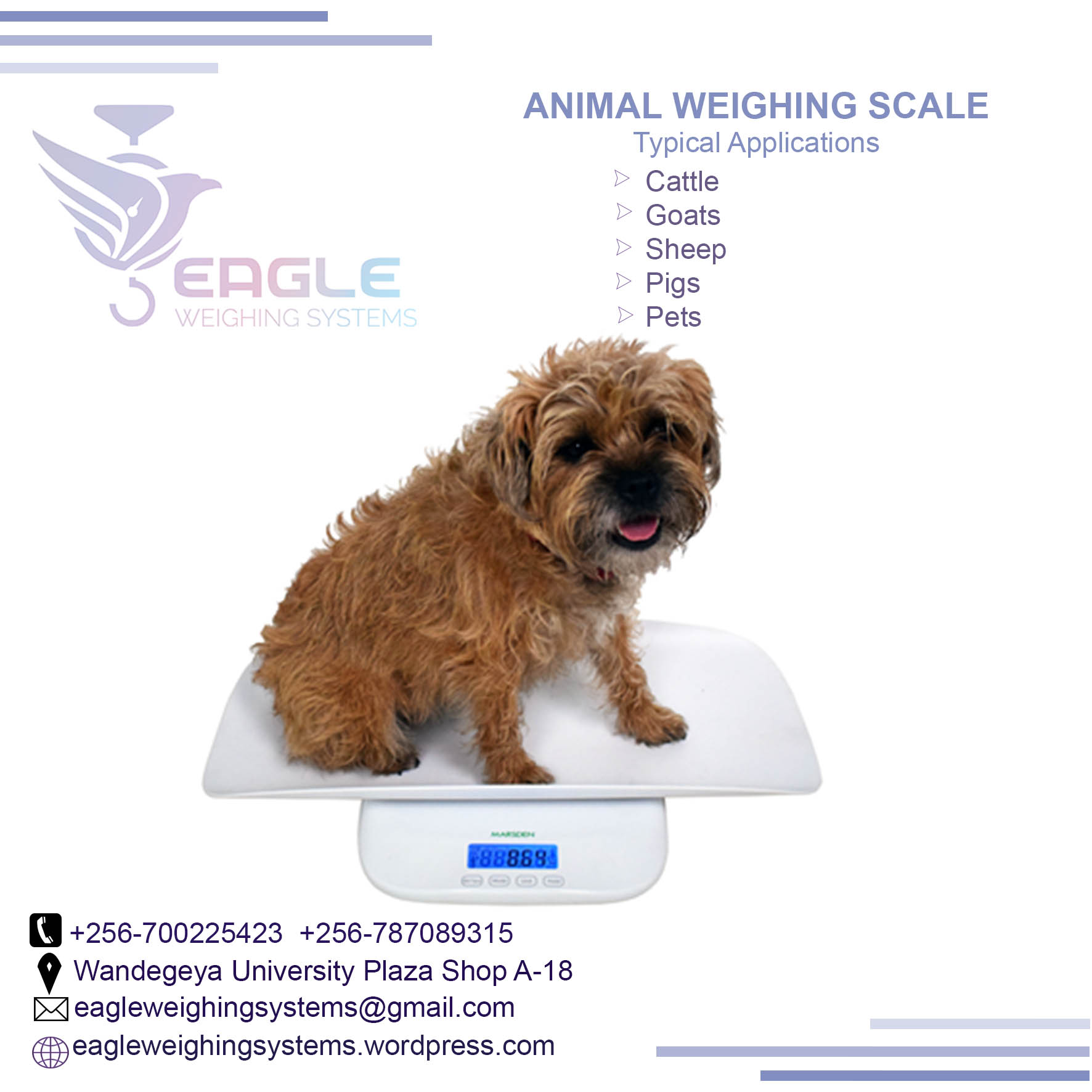 Electronic platform animal weighing digital animal scale/ba'