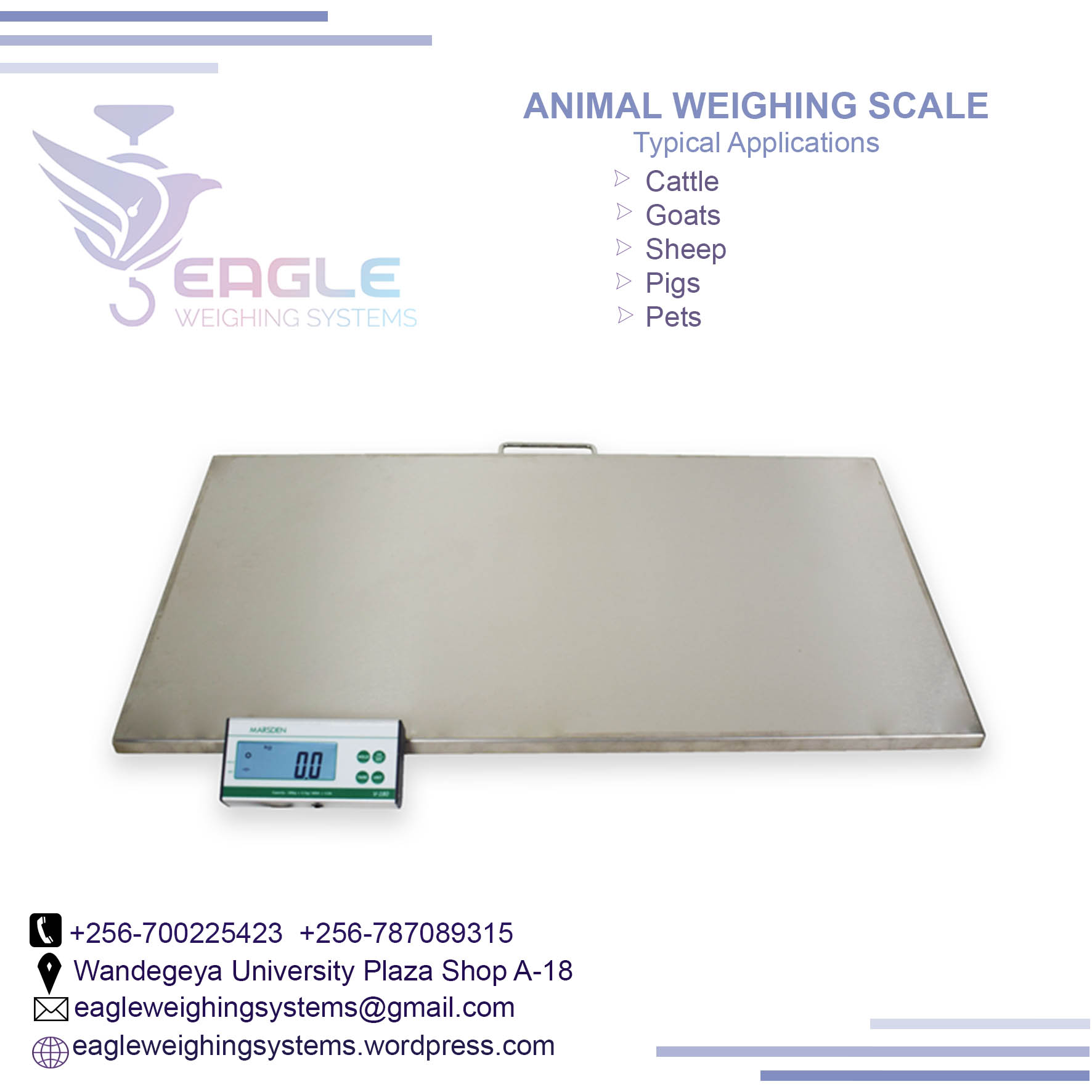 1000 kg digital animal weighing scales  for cows, goats, pig'