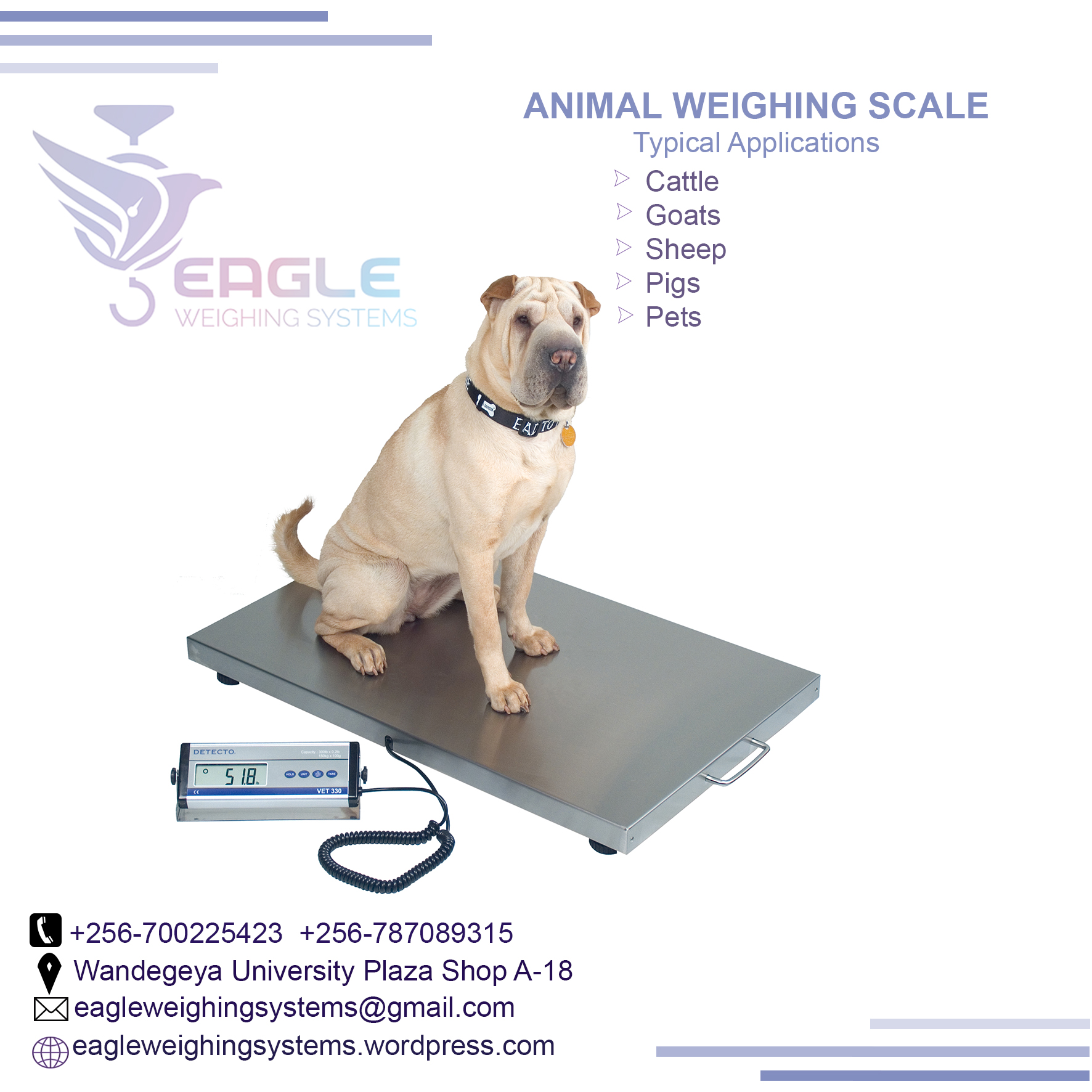 Platform floor animal weighing scale'