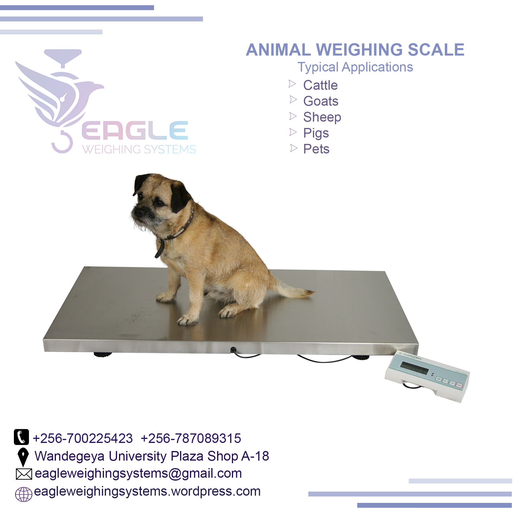 Animal Industrial strong low profile platform cattle scale i'