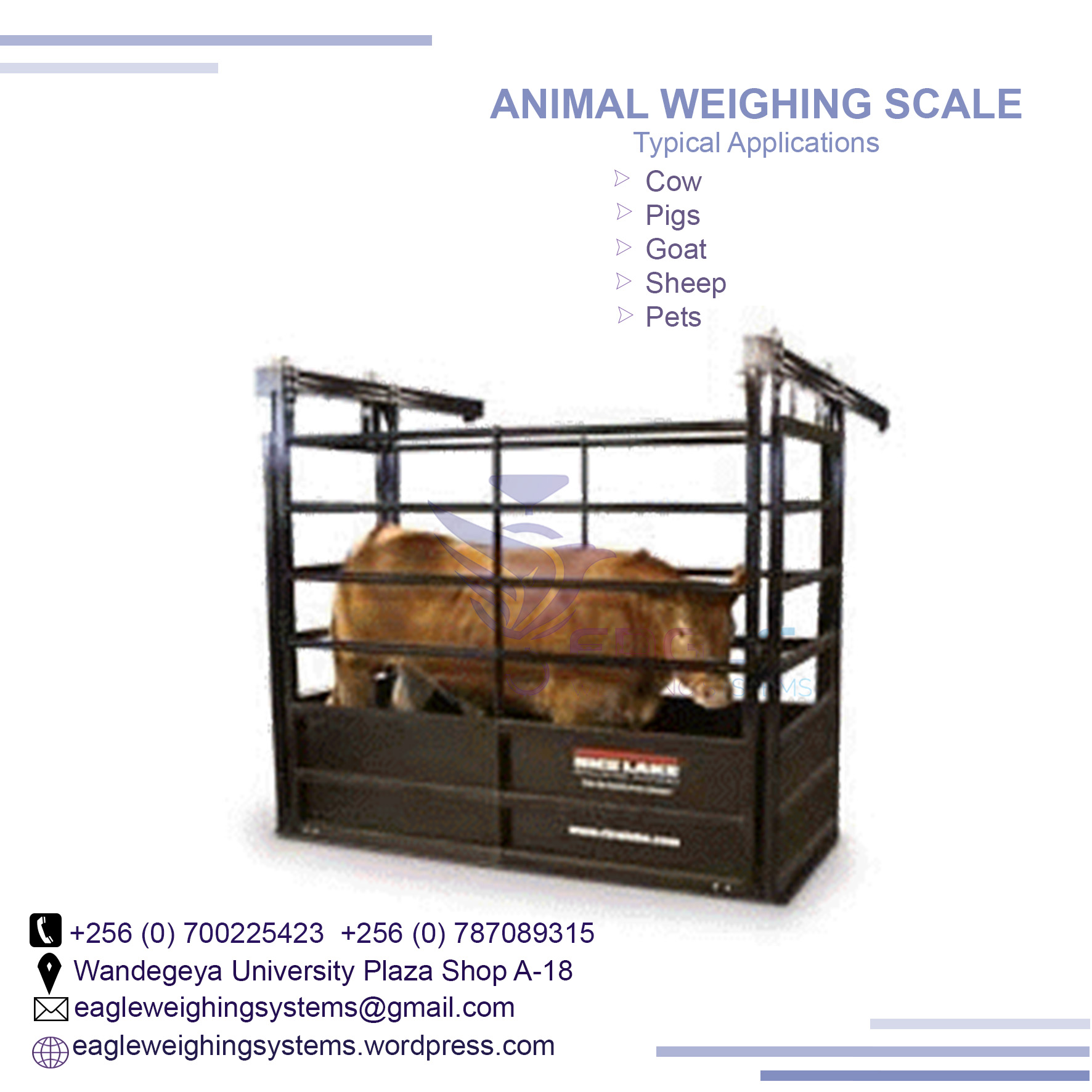 Suppliers of animal electronic digital Animal scales in Kamp'