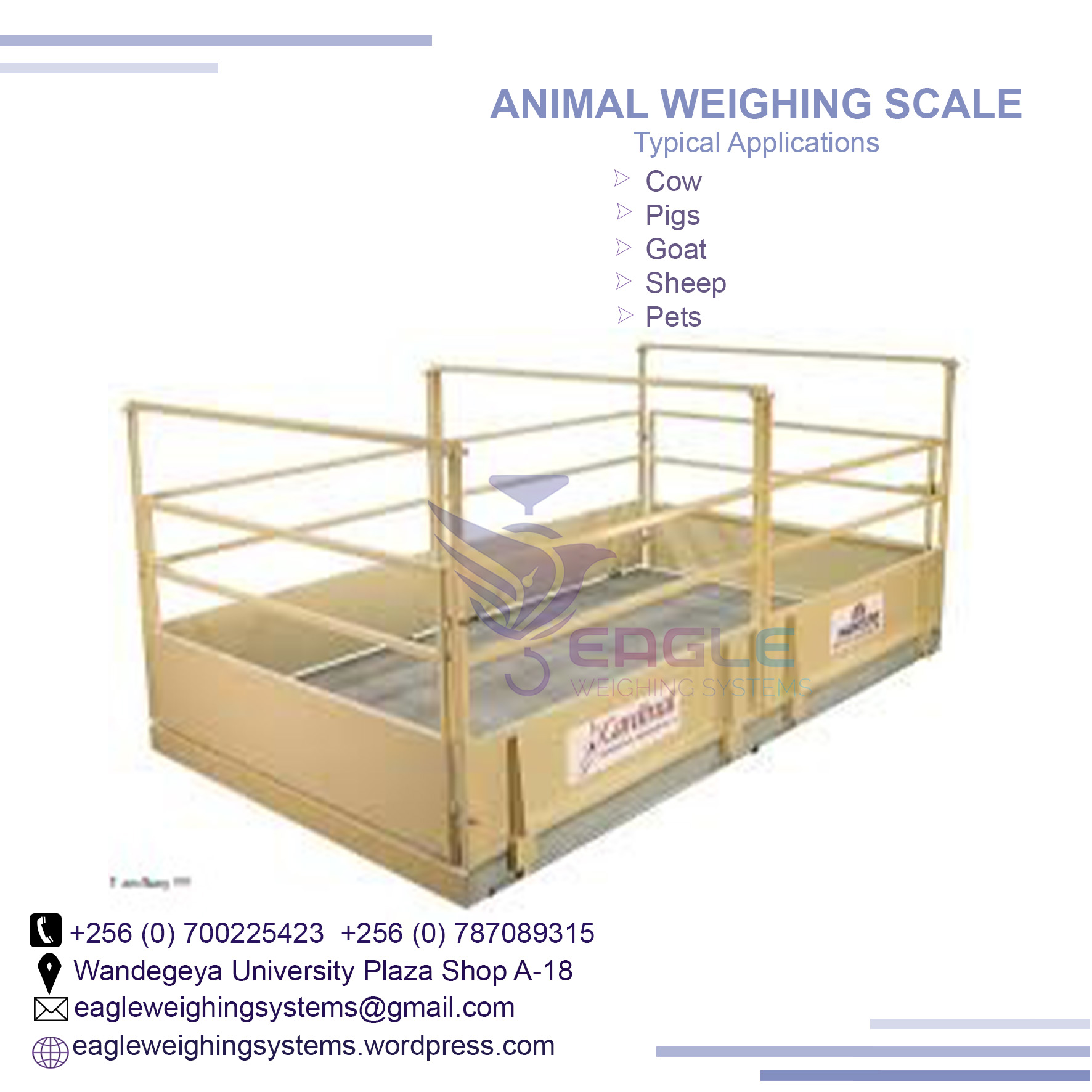 Cattle weighing scales for cows, sheep, goats, pigs in Kampa'