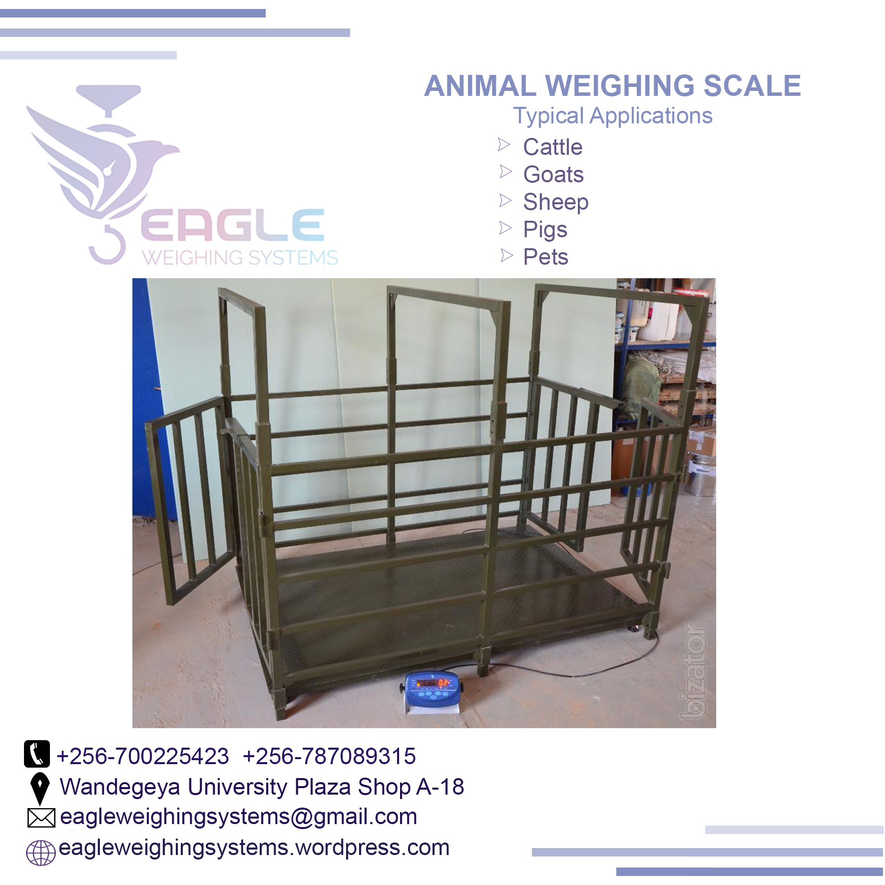 What is the price of animal weighing scale in Kampala ?'