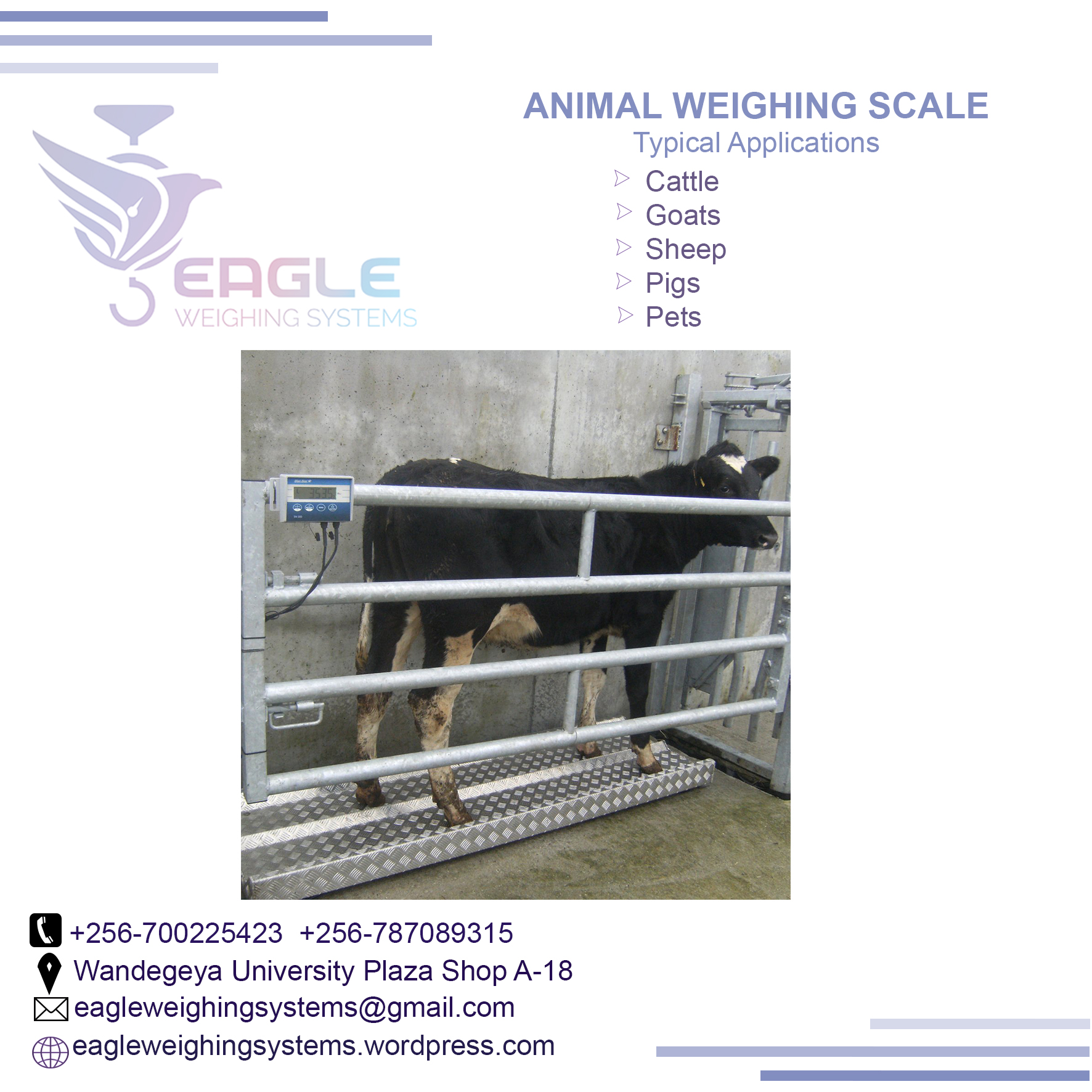 Animal Electronic Industrial platform weighing scales Kampal'