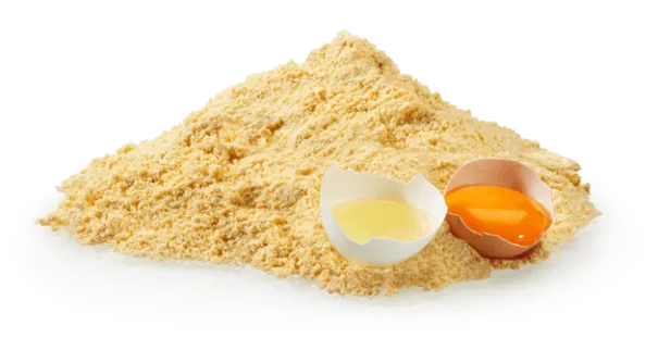 Whole Egg Powder Market