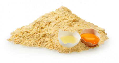 Whole Egg Powder Market'