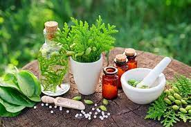 Herbal Medicine Market'