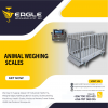 Platform floor scale industrial animal weighing scales in U'