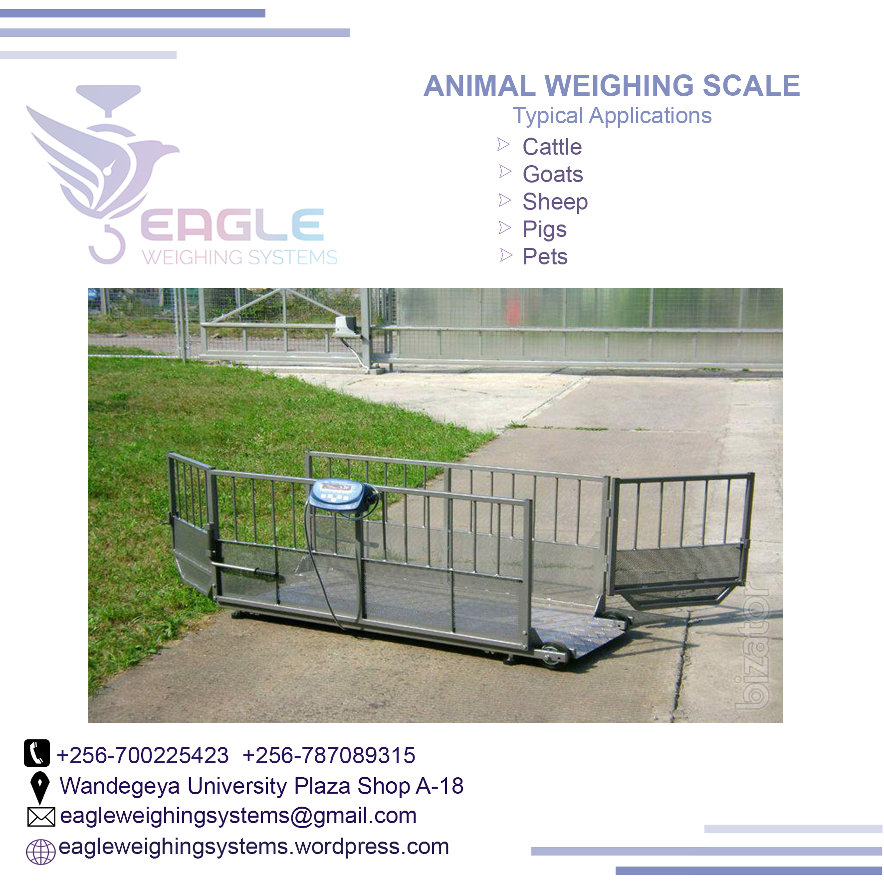 Animal Electronic floor weighing scale'
