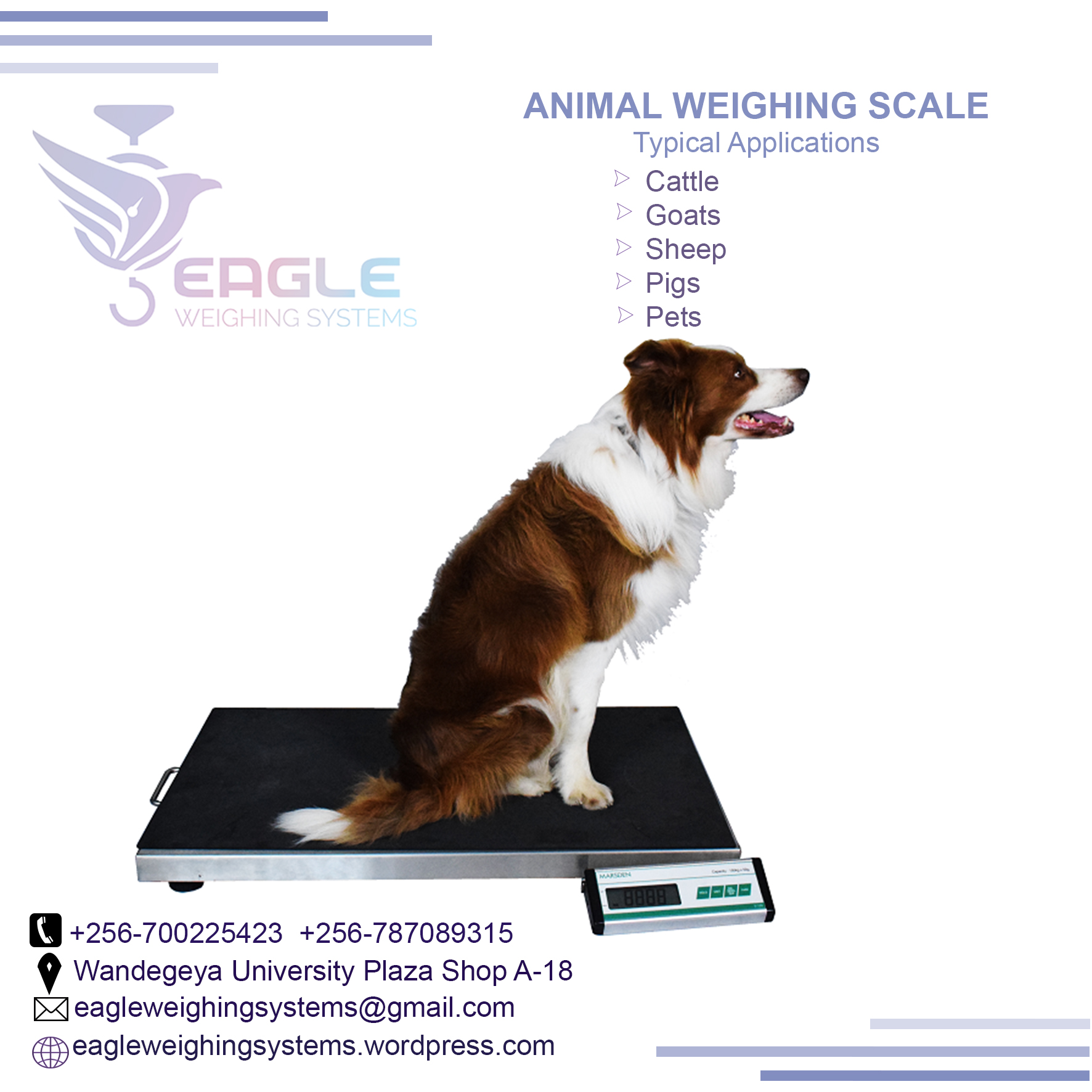 Electronic animal type iron cast platform cattle weighing s'