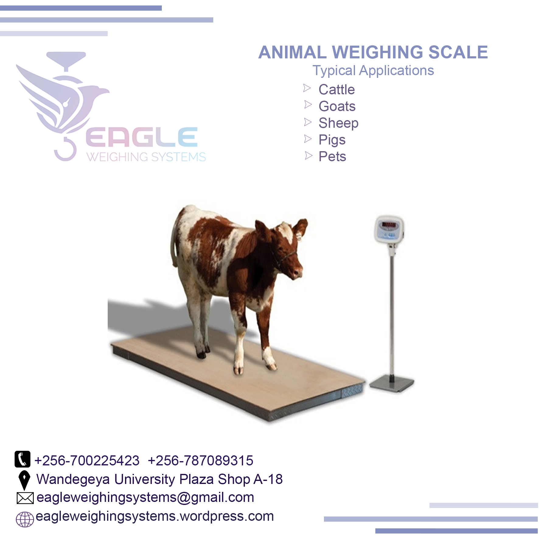 Digital animal weighing scales'