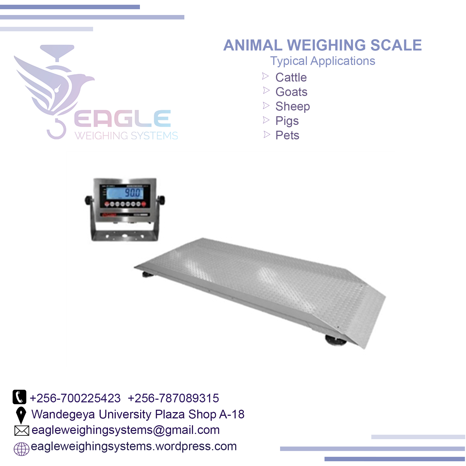 Gram Animal Stainless Steel Animal weighing scales in Kampal'