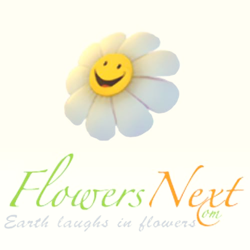 Company Logo For Flowersnext'