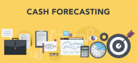 Cash Forecasting and Treasury Management Software Market