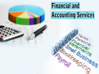 Financial Accounting Consultancy Service Market