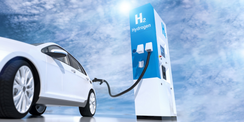 Hydrogen Fuel Cell Vehicle Market'