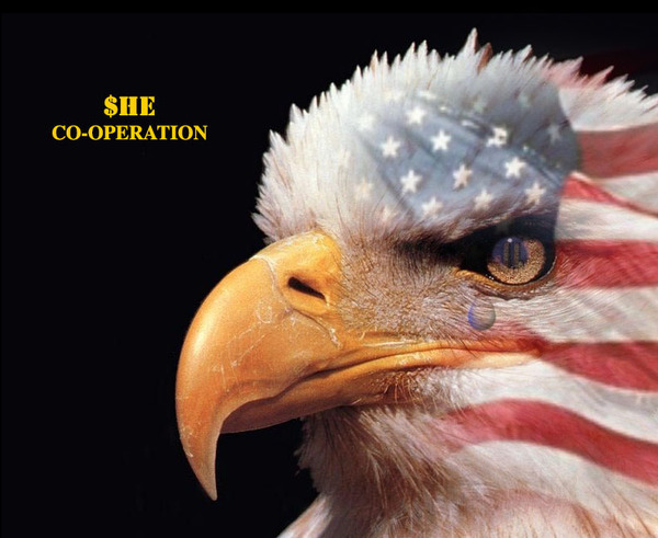 The SHE co-operation'