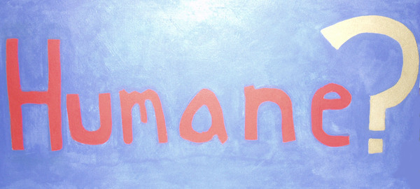 The SHE co-operation'