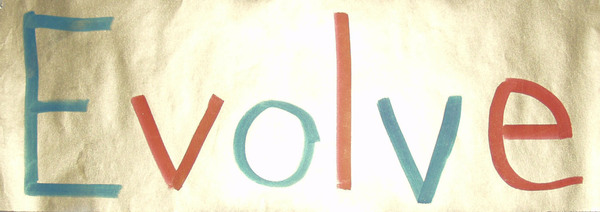 The SHE co-operation'