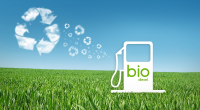 Pure Biodiesel Market