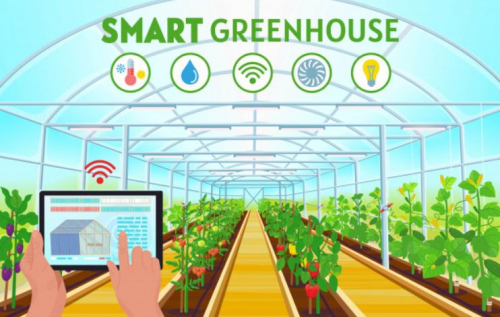 Smart Agriculture Smart Greenhouse Market'