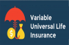 Variable Universal Life Insurance Market'