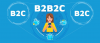 B2B2C Insurance Market'
