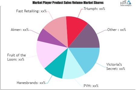 Online Lingerie Market