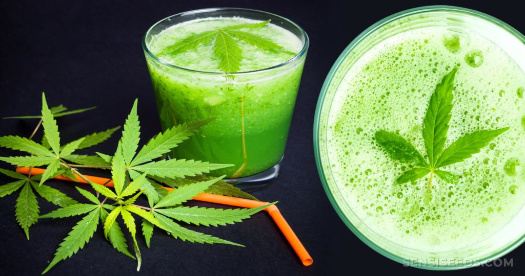 Hemp Juice Market'