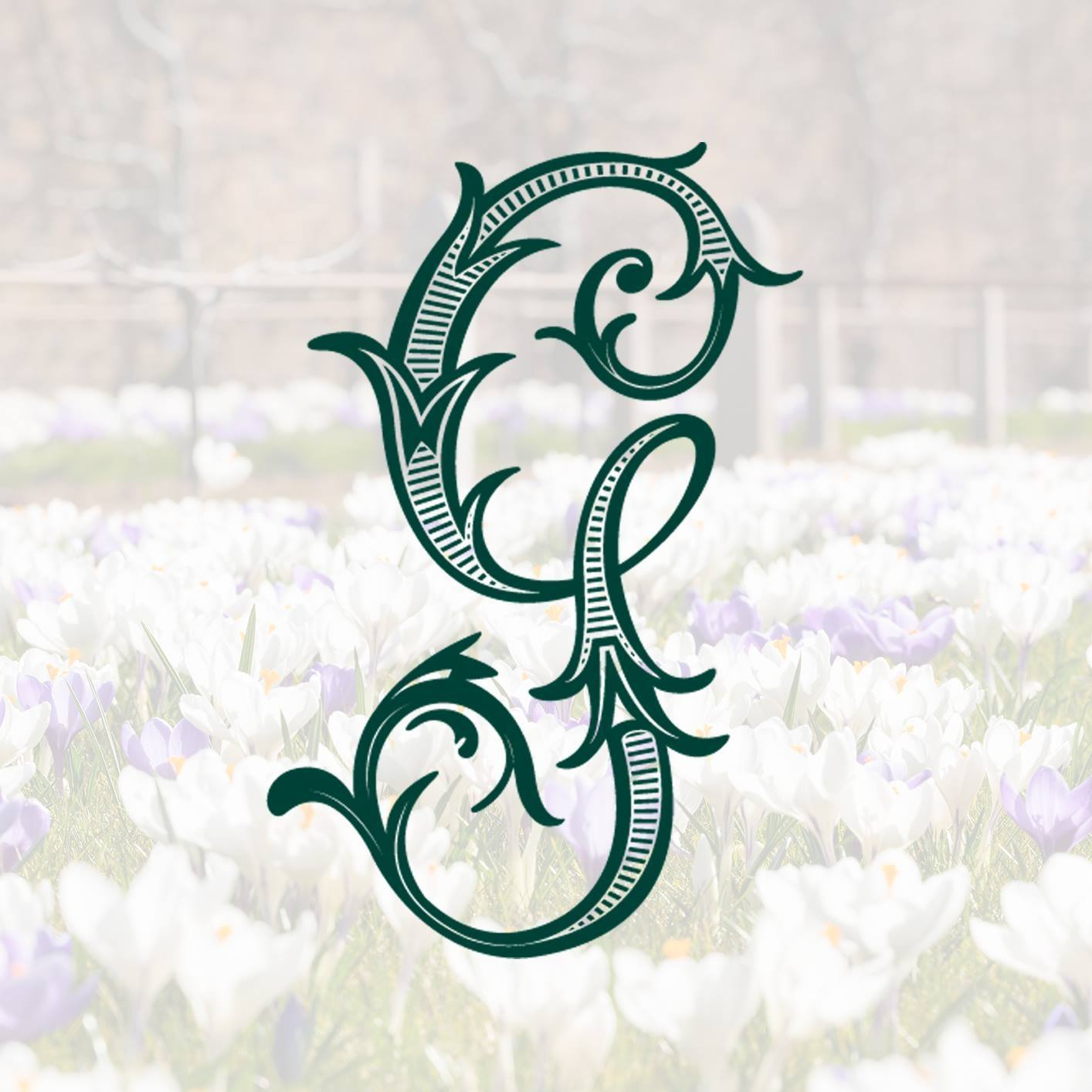 Company Logo For Gordon Castle Walled Garden'