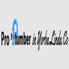Company Logo For 1st Deltona Plumber Pros'