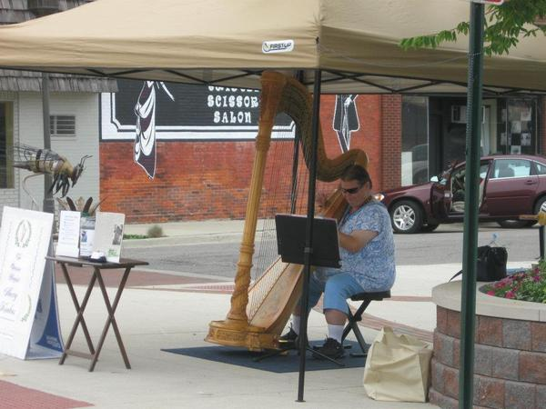Harpist
