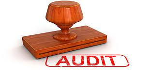 Customs Audit Market