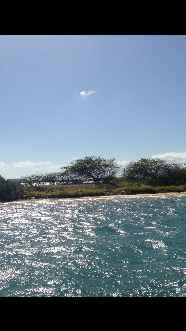 "Veronica Grey's private beach on Slipper Island"