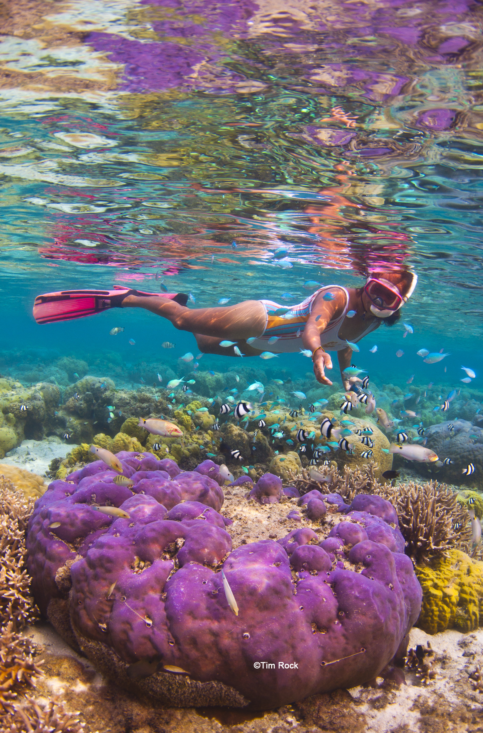 HIdden Treasures, Guam'