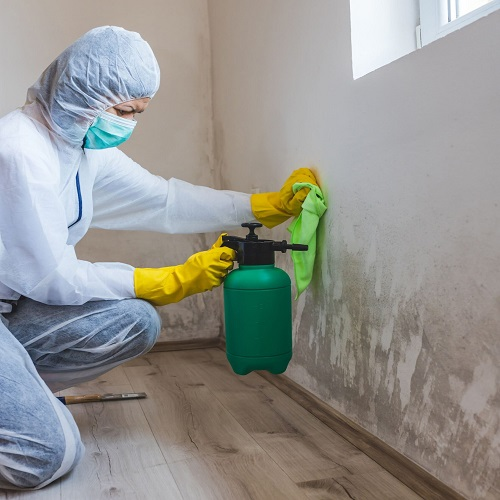 Mills Mold Inspections Logo