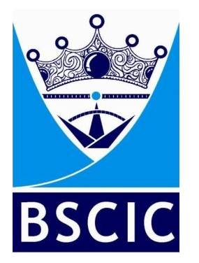 Company Logo For BSCIC Certifications Pvt. Ltd.'