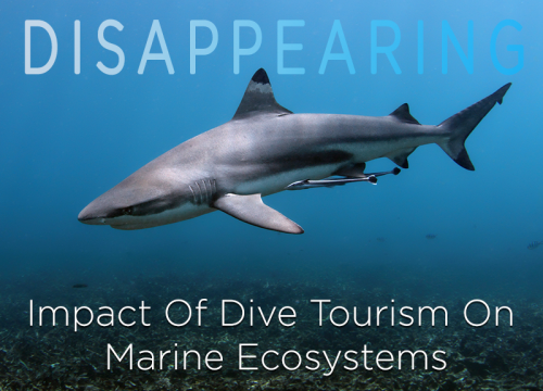 Impact of Dive Tourism'