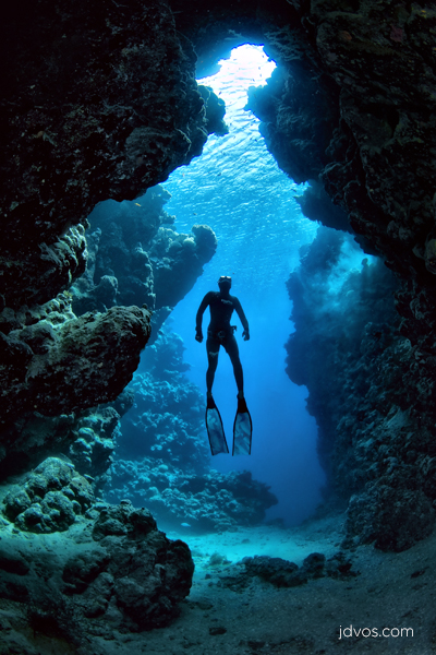 Impact of Dive Tourism'
