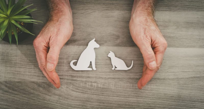 Pet Insurance Market