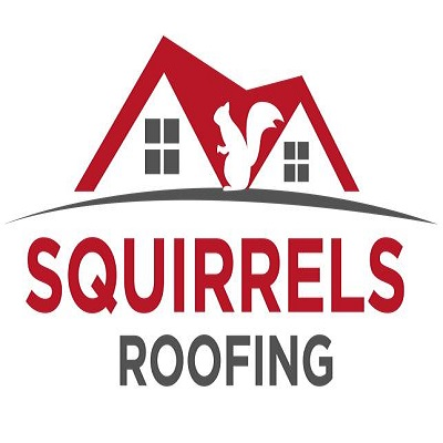 Company Logo For Squirrels Roofing'