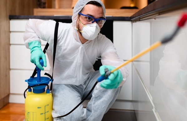 Company Logo For Horse Capital Termite Removal Experts'
