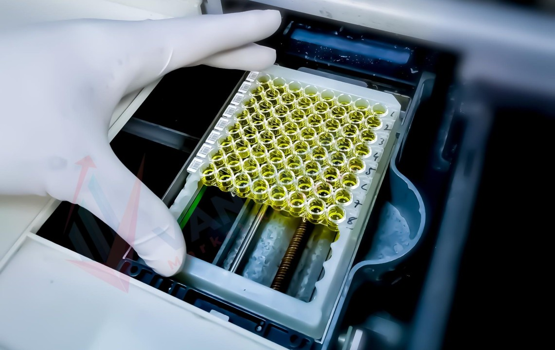 Immunoassays Market Is Set to Fly High in Years to Come : Abbott, BD, Danaher