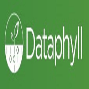 Company Logo For Dataphyll Limited'