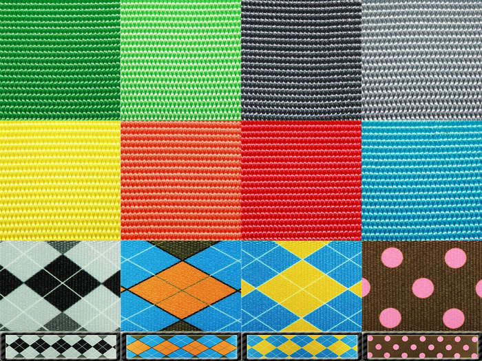 The Dollar Wallet'