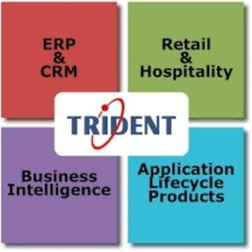 Company Logo For Trident Information Systems Pvt Ltd'