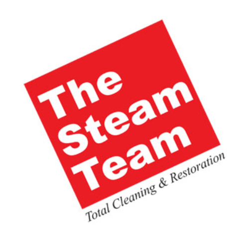 The Steam Team'