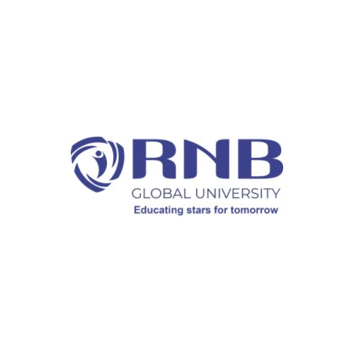 RNB Global Logo'